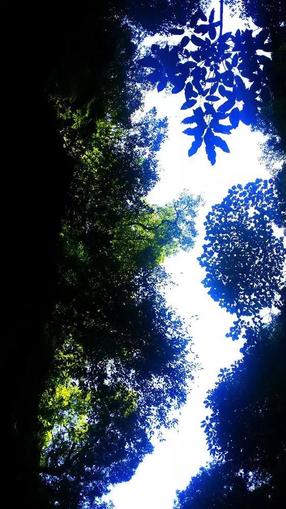 宇航员在太空里,是如何给自己洗澡的?——全天候问答平台,帮你解答疑惑